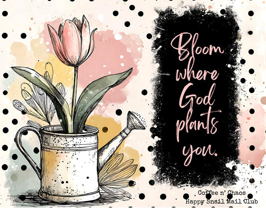 Bloom where God plants you