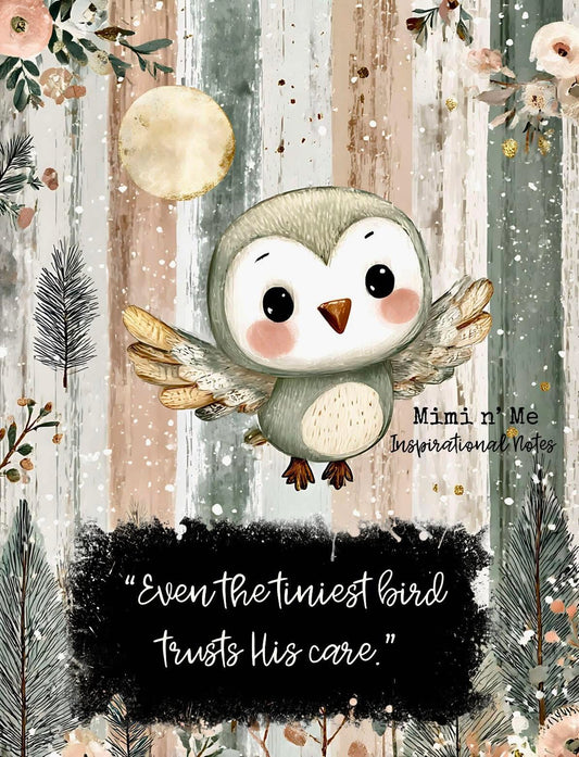 Tiny birds trust Him